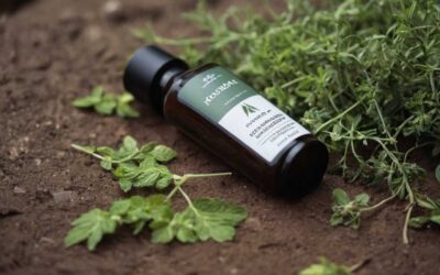 Les adaptogènes dans la performance sportive pour une récupération optimale